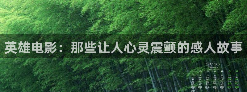 人人影视在线播放