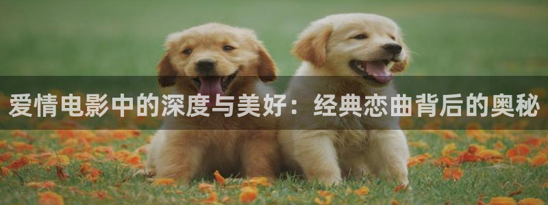 人人影视官网