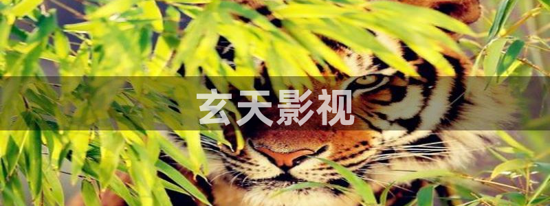人人影院伦理