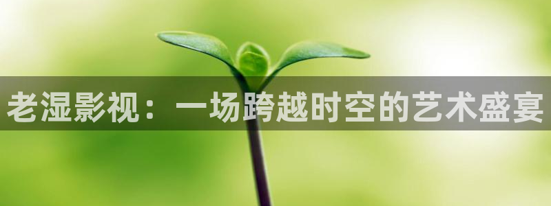 人人影院电视剧：老湿影视：一场跨越时空的艺术盛宴