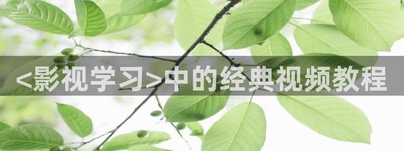 人人影视app：<影视学习>中的经典视频教程