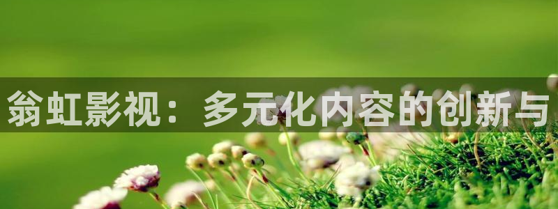 人人影视在线：翁虹影视：多元化内容的创新与