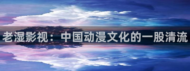 人人视频网址：老湿影视：中国动漫文化的一股清流