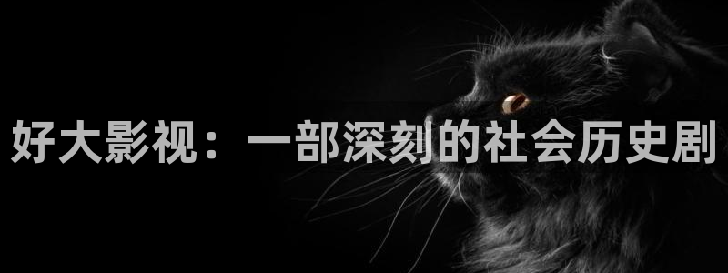 人人视频官方：好大影视：一部深刻的社会历史剧