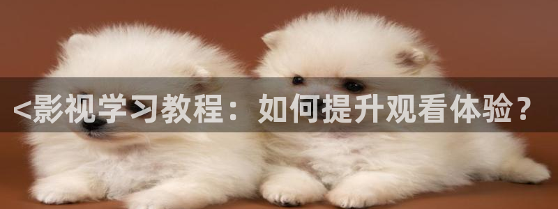 将夜2人人影院：<影视学习教程：如何提升观看体验？