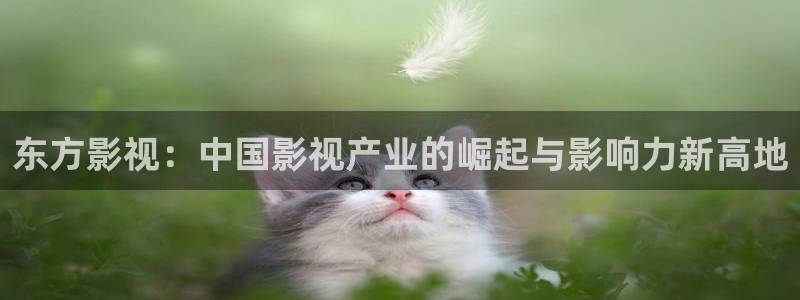 人人人影院：东方影视：中国影视产业的崛起与影响力新高地