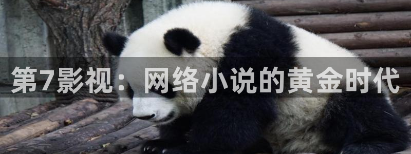 人人视频官方：第7影视：网络小说的黄金时代