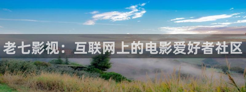 人人影院.：老七影视：互联网上的电影爱好者社区