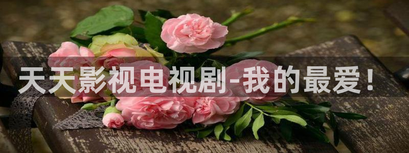 人人影视在线电视剧：天天影视电视剧-我的最爱！