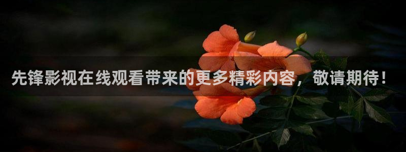 人人影院app下载：先锋影视在线观看带来的更多精彩内容，敬请期待！