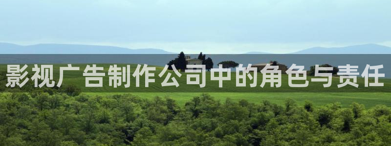 人人影院免费观看电视剧全集：影视广告制作公司中的角色与责任