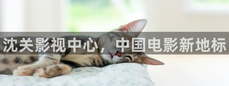 人人影视免费追剧：沈关影视中心，中国电影新地标