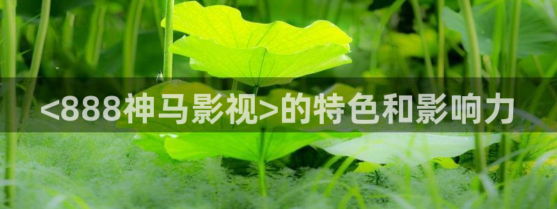 人人影音播放器：<888神马影视>的特色和影响力