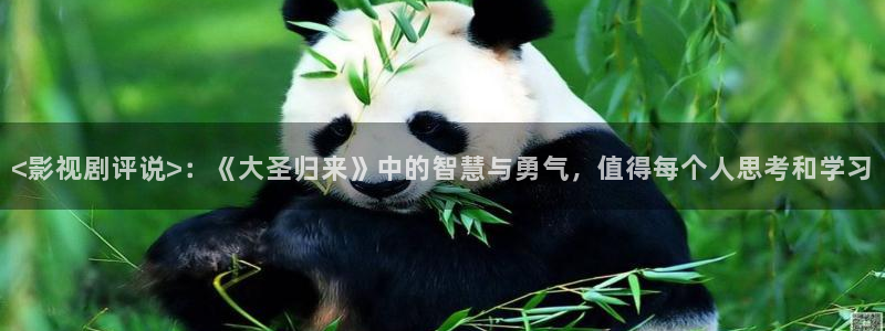 人人影视在线播放：<影视剧评说>：《大圣归来》中的智慧与勇气，值得每个人思考和学习
