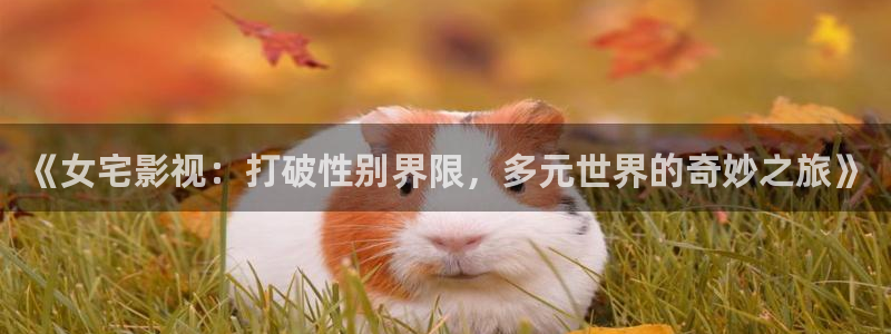 人人影视下载安装：《女宅影视：打破性别界限，多元世界的奇妙之旅》