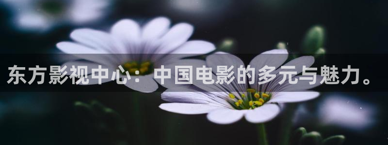 理论片人人影院：东方影视中心：中国电影的多元与魅力。