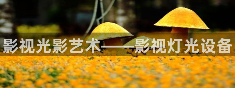 心有千千结电视剧全集人人影院