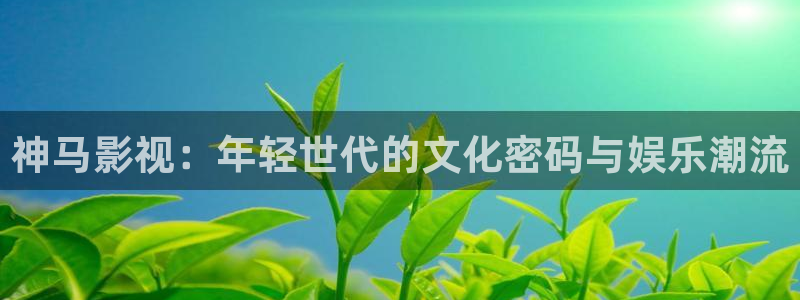 人人影音电脑版