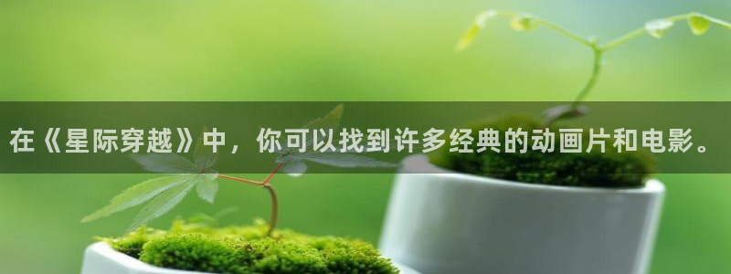 人人视频app