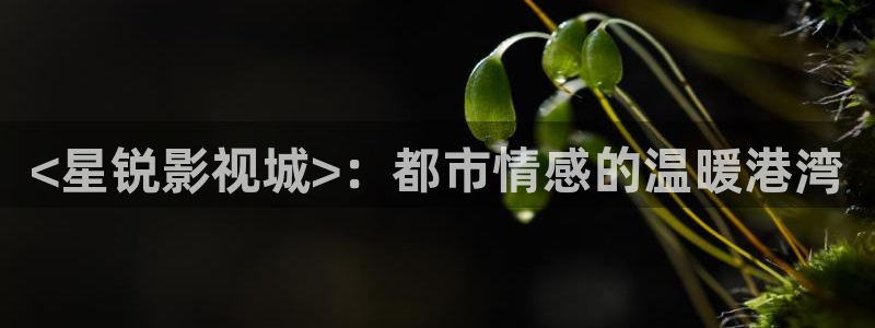 甄执� 人人影视