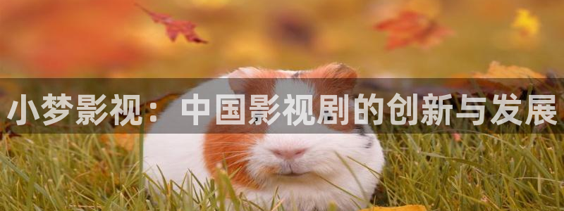 私人人影院