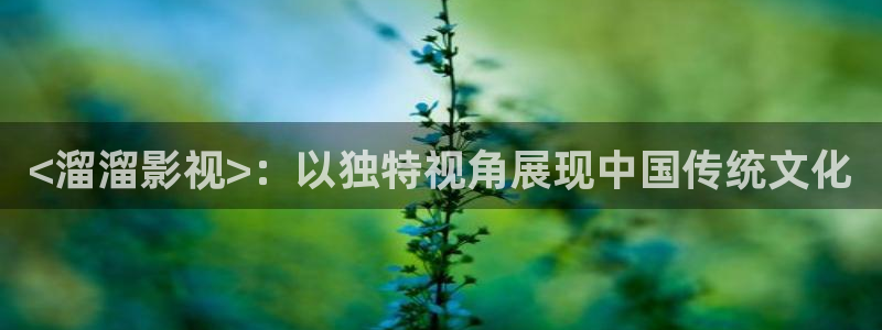 人人影院免费观看电视剧全集