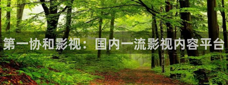 人人影音播放器