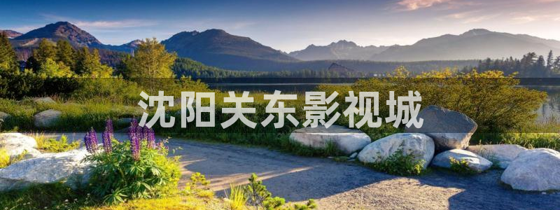 人人视频下载