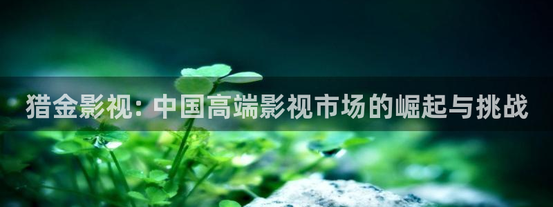 人人视频.