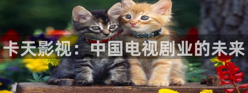人人视频tv