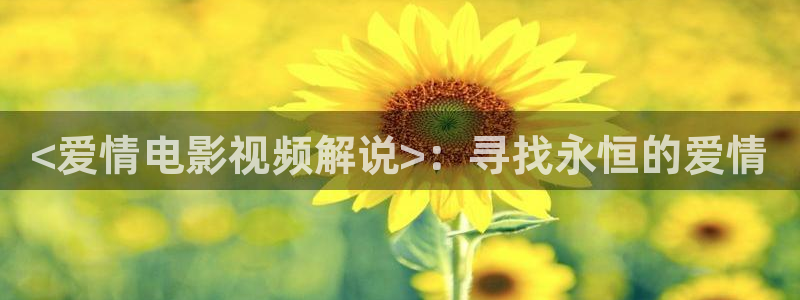 人人视频网