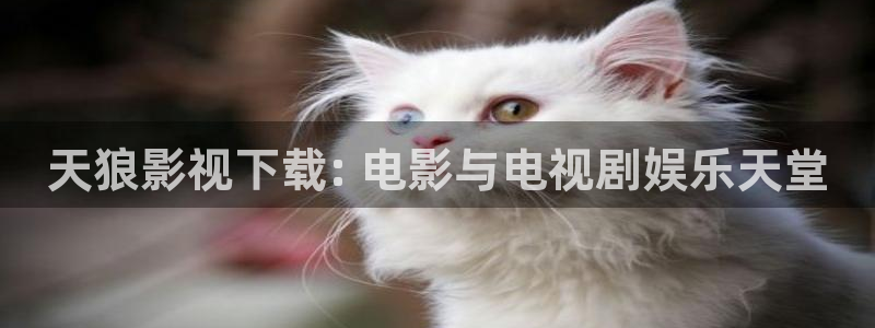 新人人影院