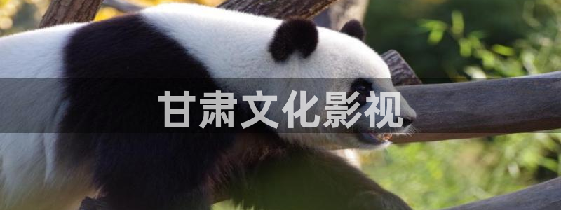 人人影视首页