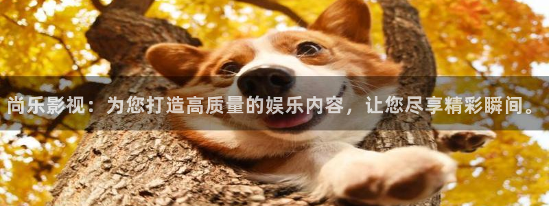 人人视频电视版