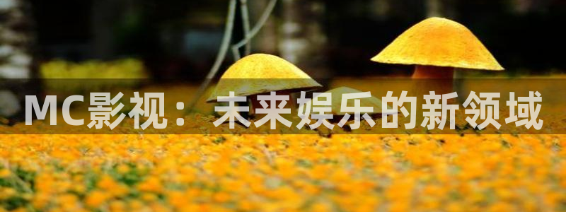 人人视频电脑版
