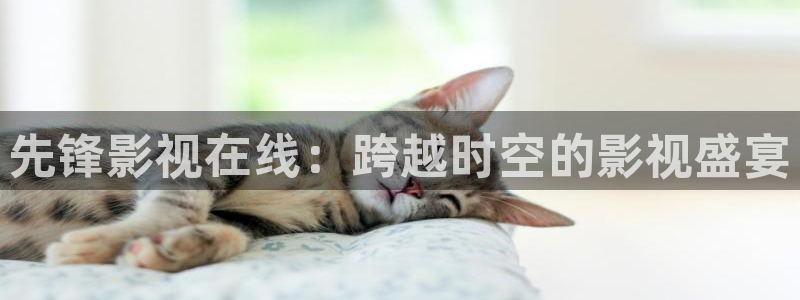 人人视频电视版