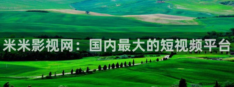 51人人影豆网理论片