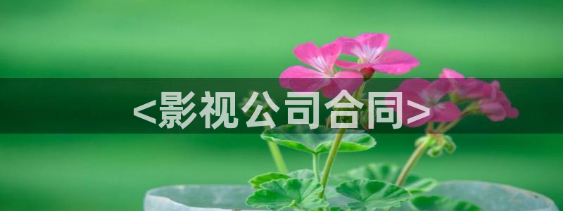 人人影视剧
