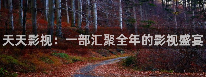 私人人影院