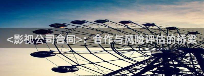 色人人影院：<影视公司合同>：合作与风险评估的桥梁