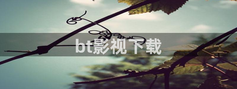 人人影院在线观看免费播放电视剧：bt影视下载
