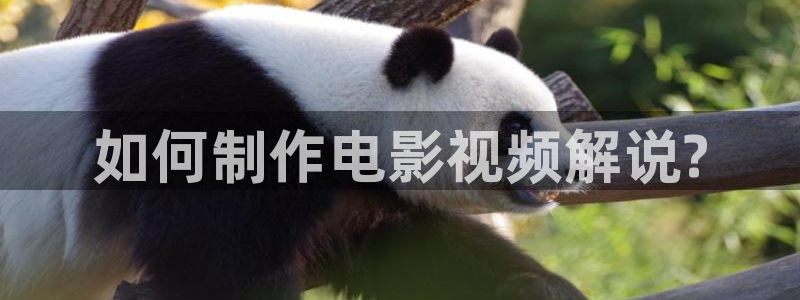 人人影院电视剧：如何制作电影视频解说?