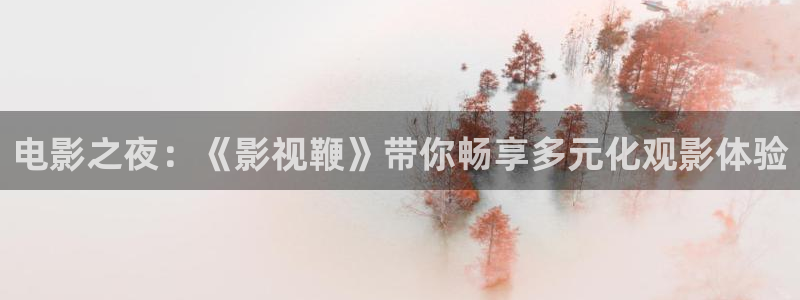 人人视频网页：电影之夜：《影视鞭》带你畅享多元化观影体验