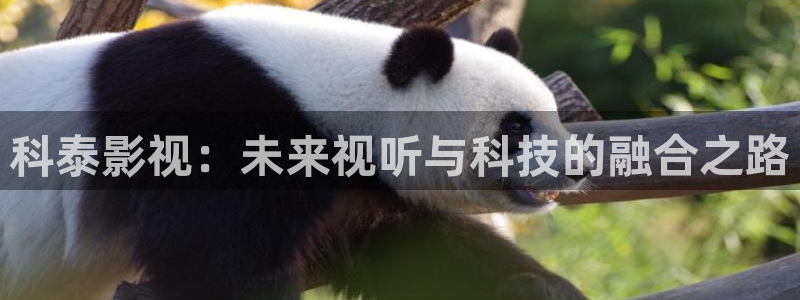 将夜2人人影院：科泰影视：未来视听与科技的融合之路