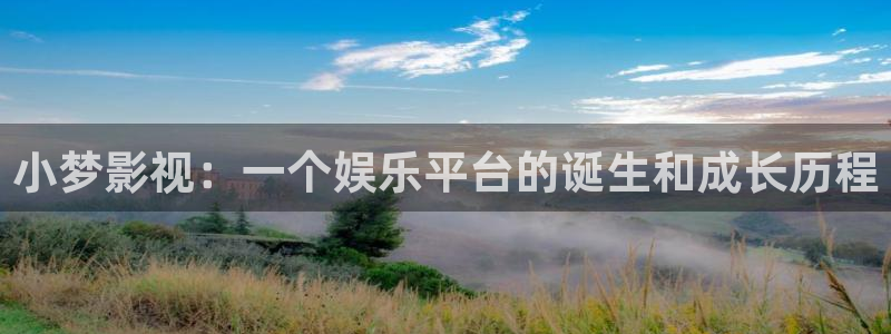 人人影巴：小梦影视：一个娱乐平台的诞生和成长历程