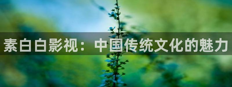 人人视频在线：素白白影视：中国传统文化的魅力