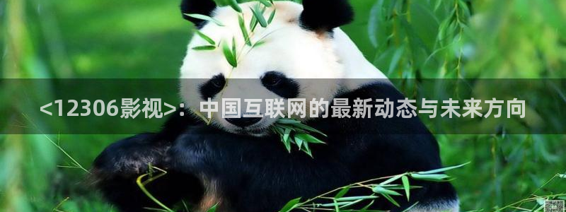 人人影视在线电视剧：<12306影视>：中国互联网的最新动态与未来方向